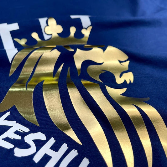 Camiseta Masculina Azul Leão Yeshua